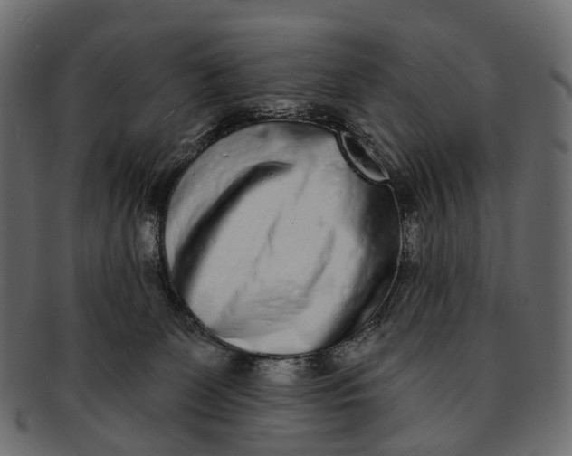 X0000091560131200709071136