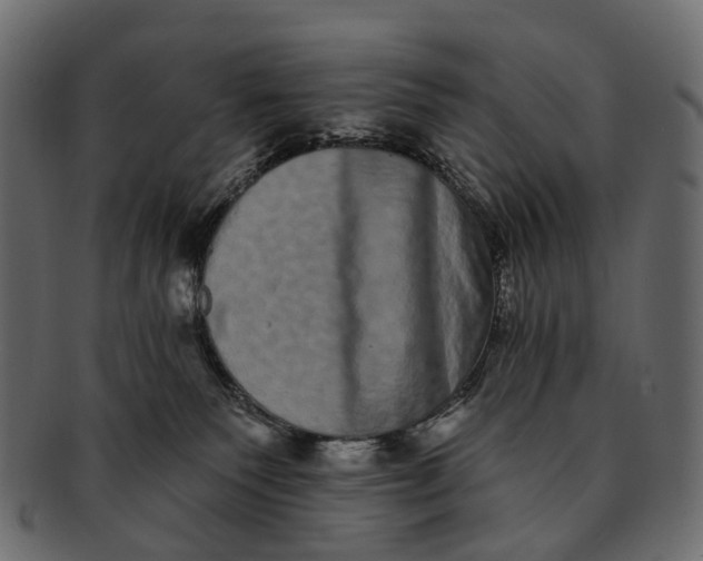 X0000091560135200709071136