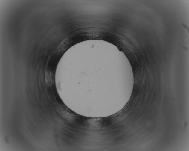 X0000091560136200709071136