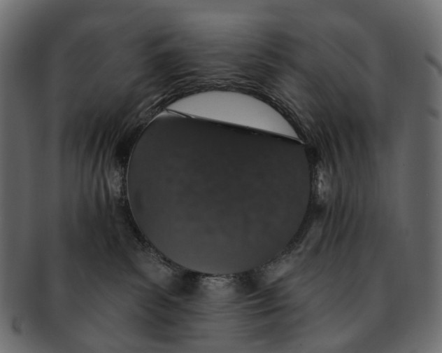 X0000091560139200709071136