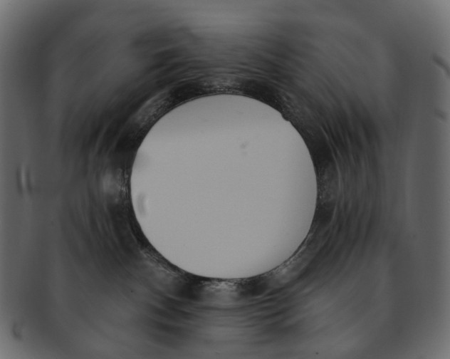 X0000091560140200709071136