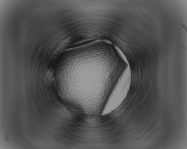 X0000091560142200709071136