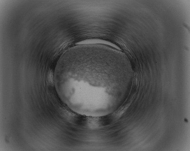 X0000091560143200709071136