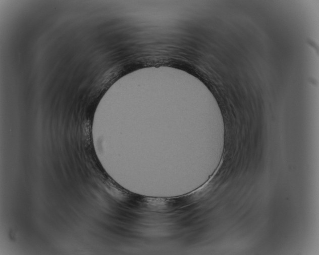 X0000091560144200709071136