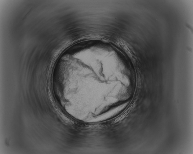 X0000091560145200709071135