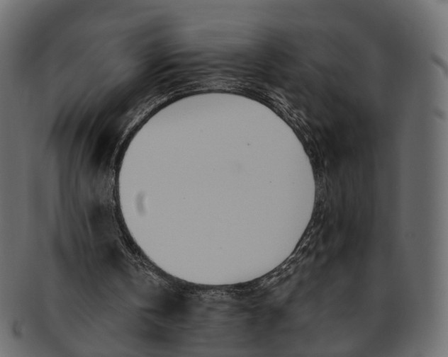 X0000091560146200709071135