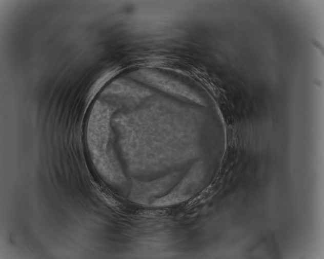 X0000091560147200709071135