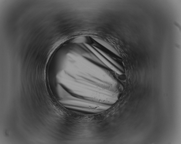 X0000091560148200709071135