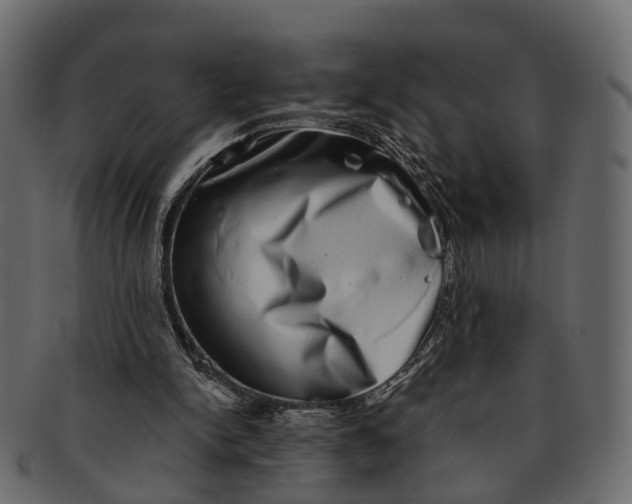 X0000091560150200709071135