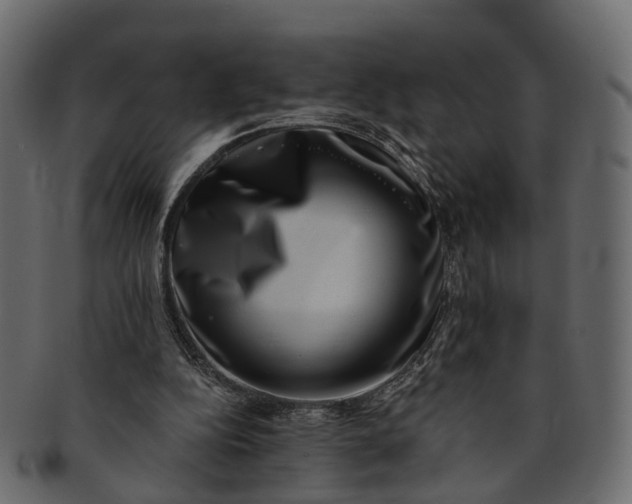 X0000091560152200709071135