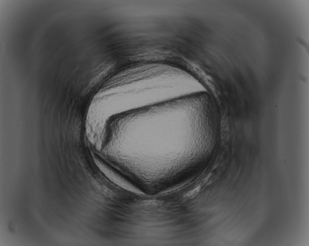 X0000091560153200709071135