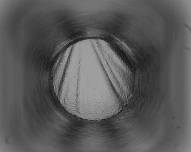 X0000091560155200709071135