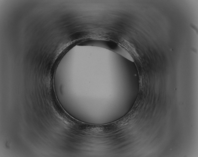 X0000091560156200709071135