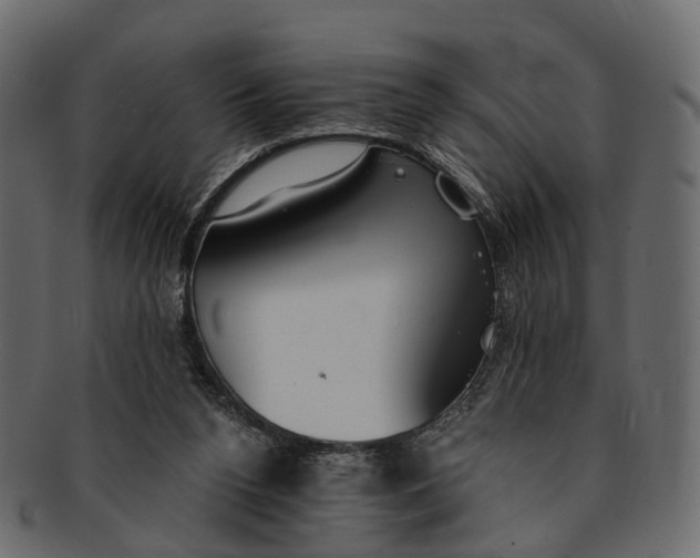 X0000091560160200709071135