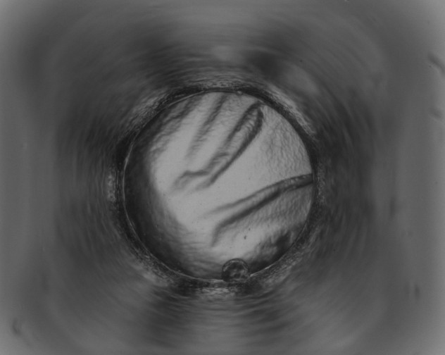 X0000091560161200709071135