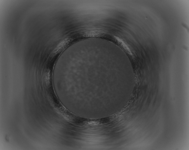 X0000091560163200709071135