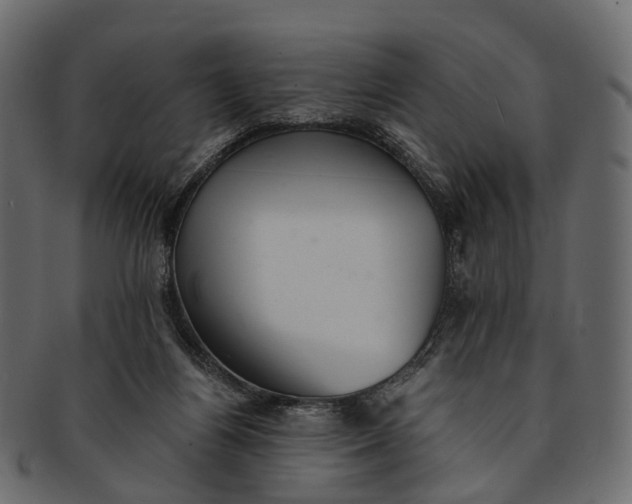 X0000091560164200709071135