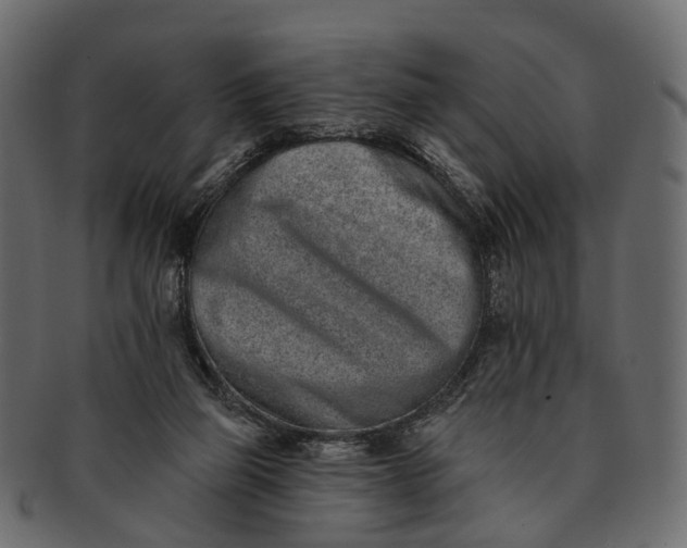 X0000091560165200709071135