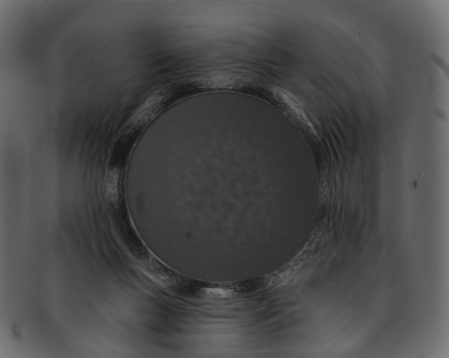 X0000091560167200709071135