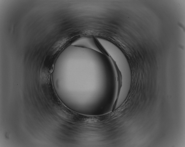 X0000091560168200709071135