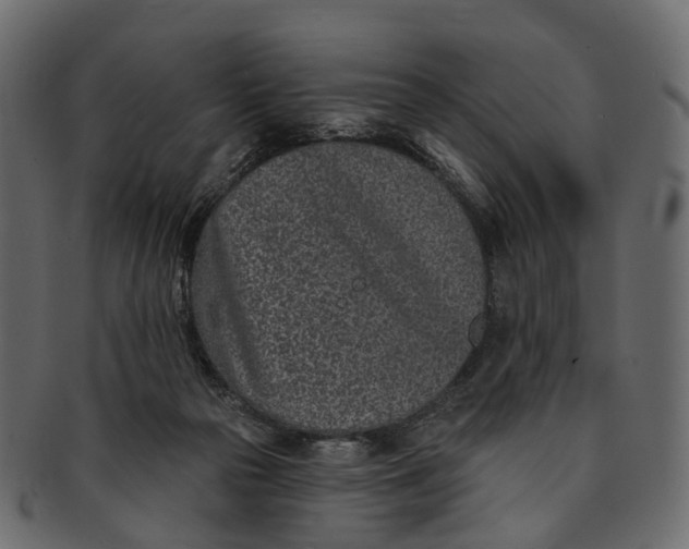 X0000091560169200709071135