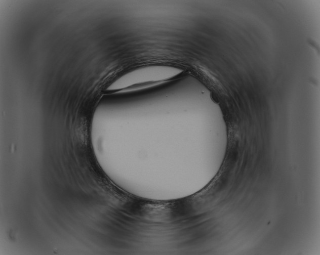 X0000091560170200709071135