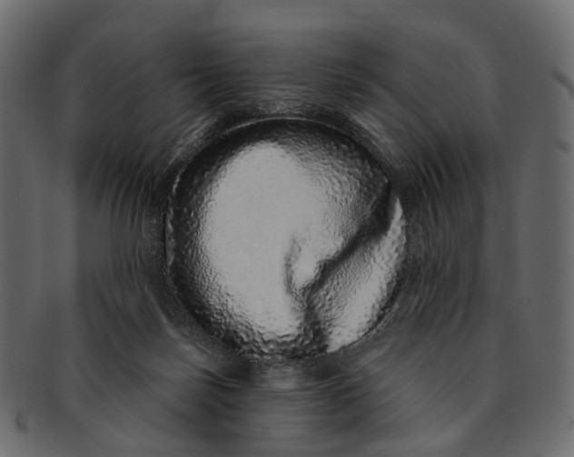 X0000091560171200709071135