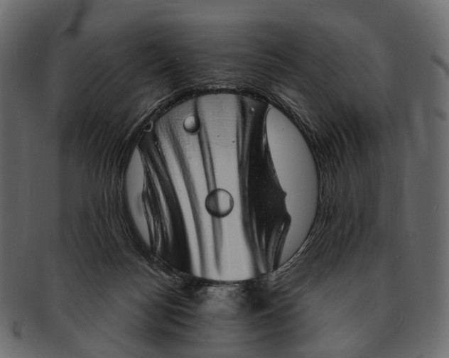 X0000091560172200709071135