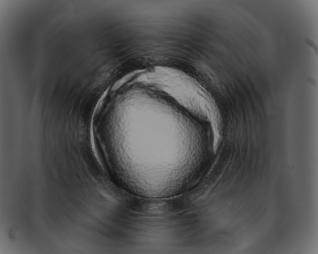 X0000091560173200709071135