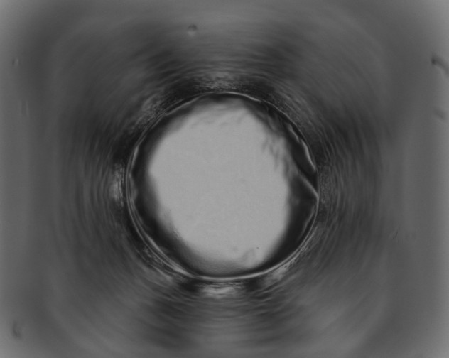 X0000091560175200709071135