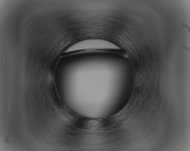 X0000091560176200709071135