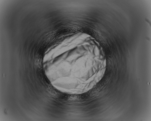 X0000091560177200709071135