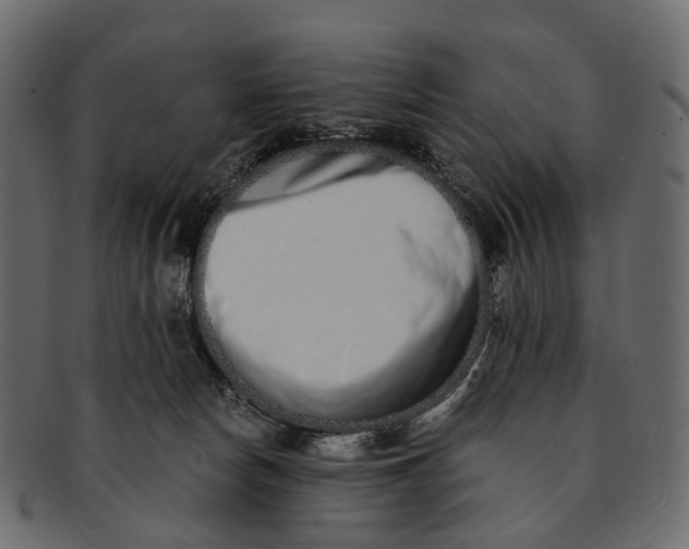 X0000091560178200709071135