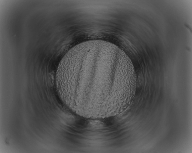 X0000091560183200709071136