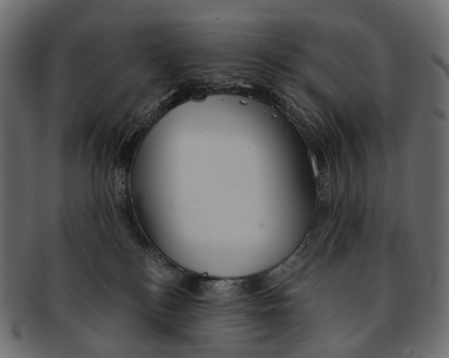 X0000091560184200709071136