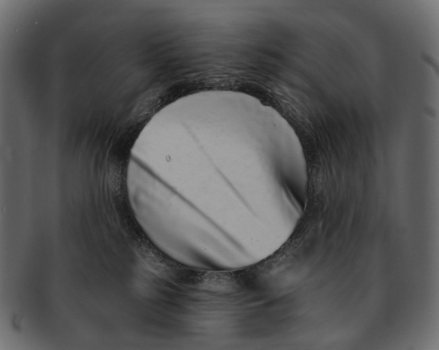 X0000091560185200709071136