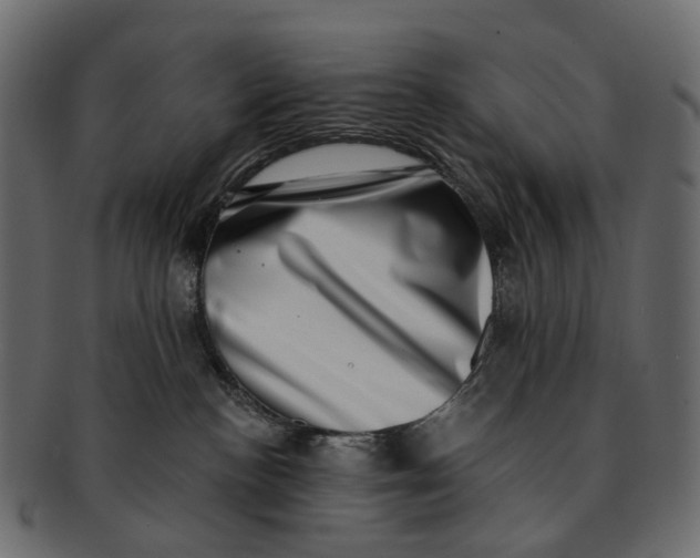 X0000091560188200709071136