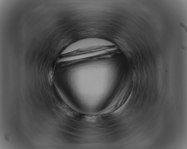 X0000091560190200709071136