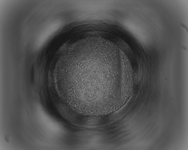 X0000091560191200709071136