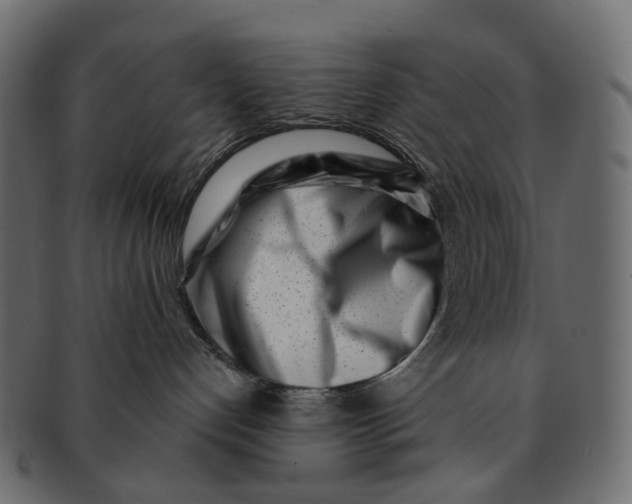 X0000091560192200709071136