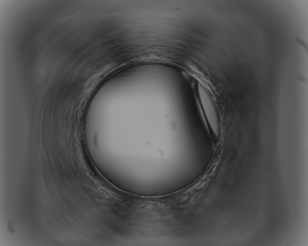 X0000091560193200709071135