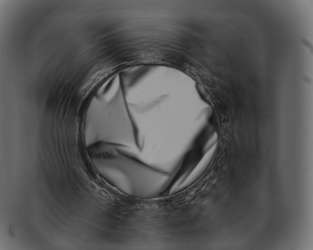 X0000091560194200709071135