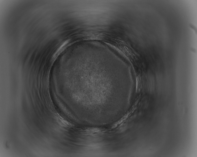 X0000091560195200709071135