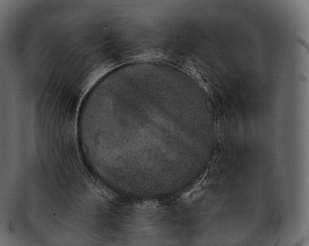 X0000091560196200709071135