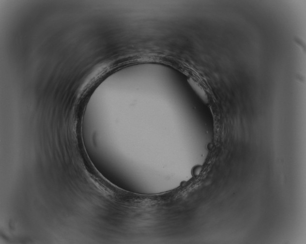 X0000091560197200709071135