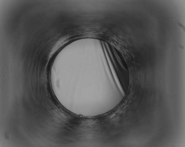 X0000091560198200709071135