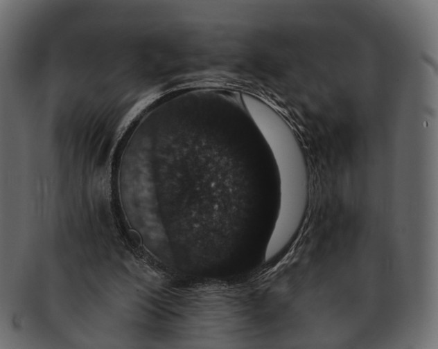 X0000091560200200709071135