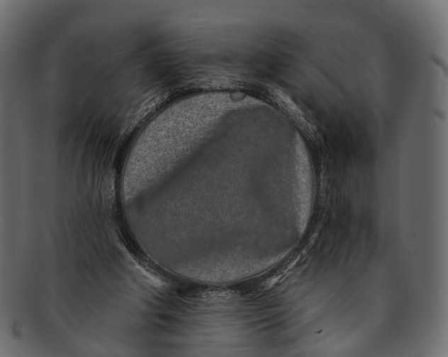 X0000091560202200709071135