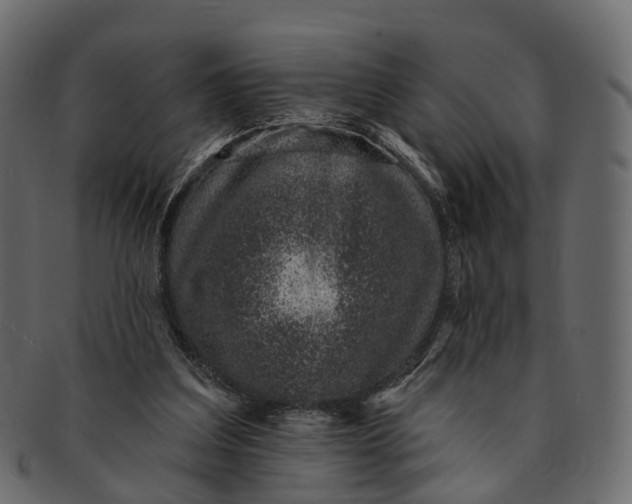 X0000091560203200709071135