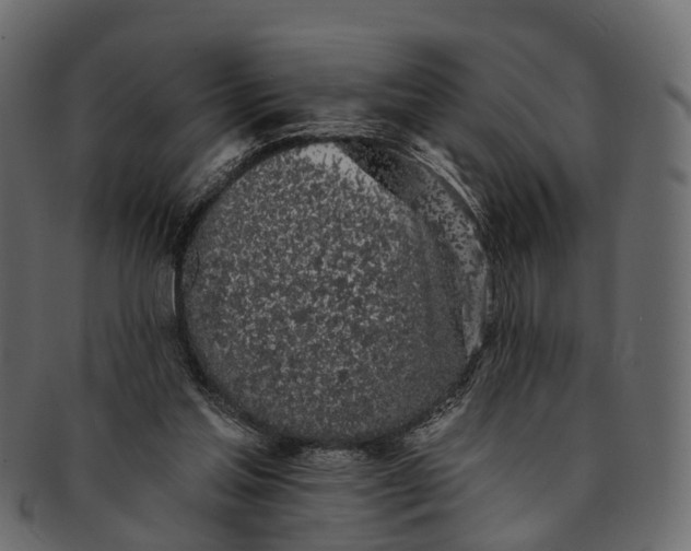 X0000091560205200709071135